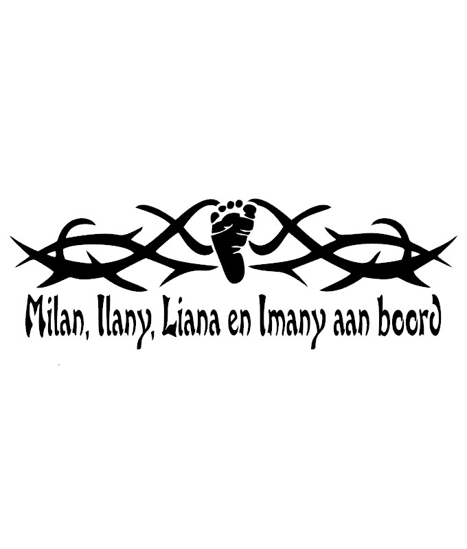 Sticker - Banner naam aan boord